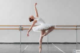 [GMAT] 대명사가 가리키는 명사는 명확해야 한다